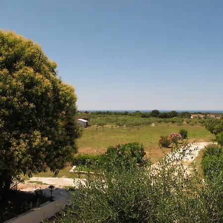 Πανσιόν Roza Rosini